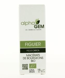 Figuier (Ficus carica) bourgeon unitaire BIO, 15 ml